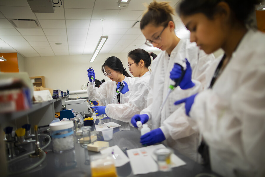 students lined up at the canine lab bench