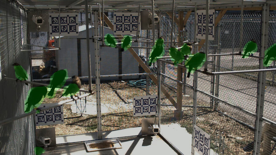 aviary overlay