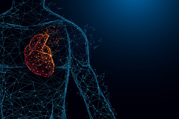 points of light representing the human torso and the human heart signifying cardiovascular health