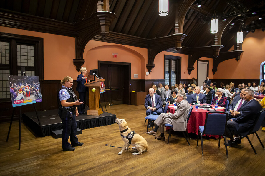 police dog socks does a trick at the penns way kickoff