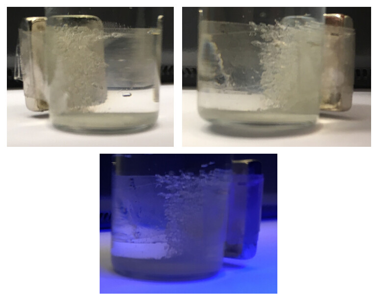 three glass beakers full of crystallized metals, which look like cloudy solids collecting along the sides of the glass. the third view is show in ultraviolet light
