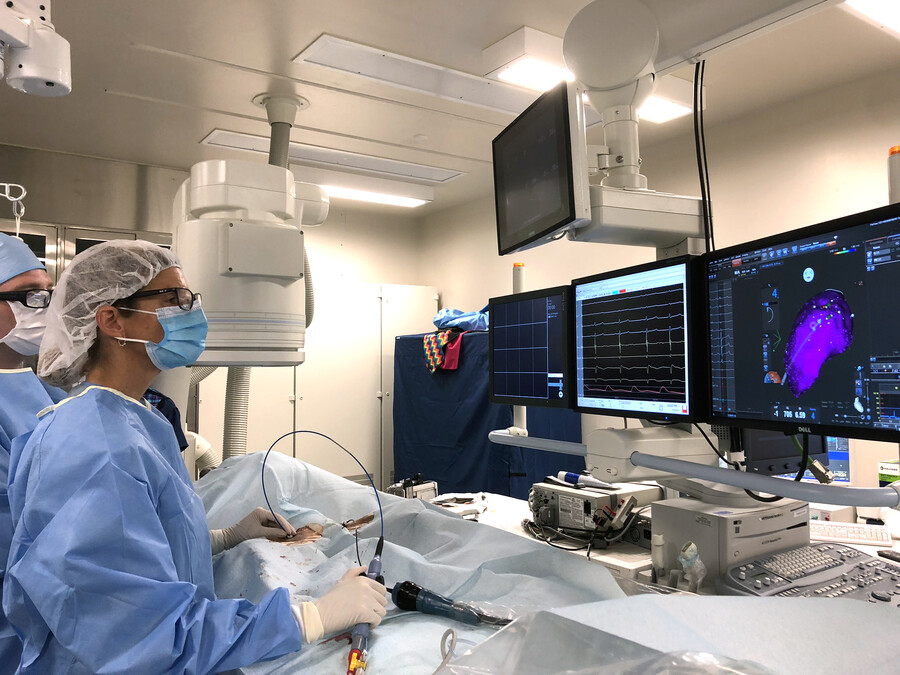sophie the boxer's heart getting mapped during surgery