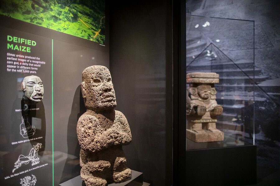 olmec artist deified maize artifacts