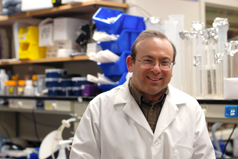 robert greenberg in penn vet lab