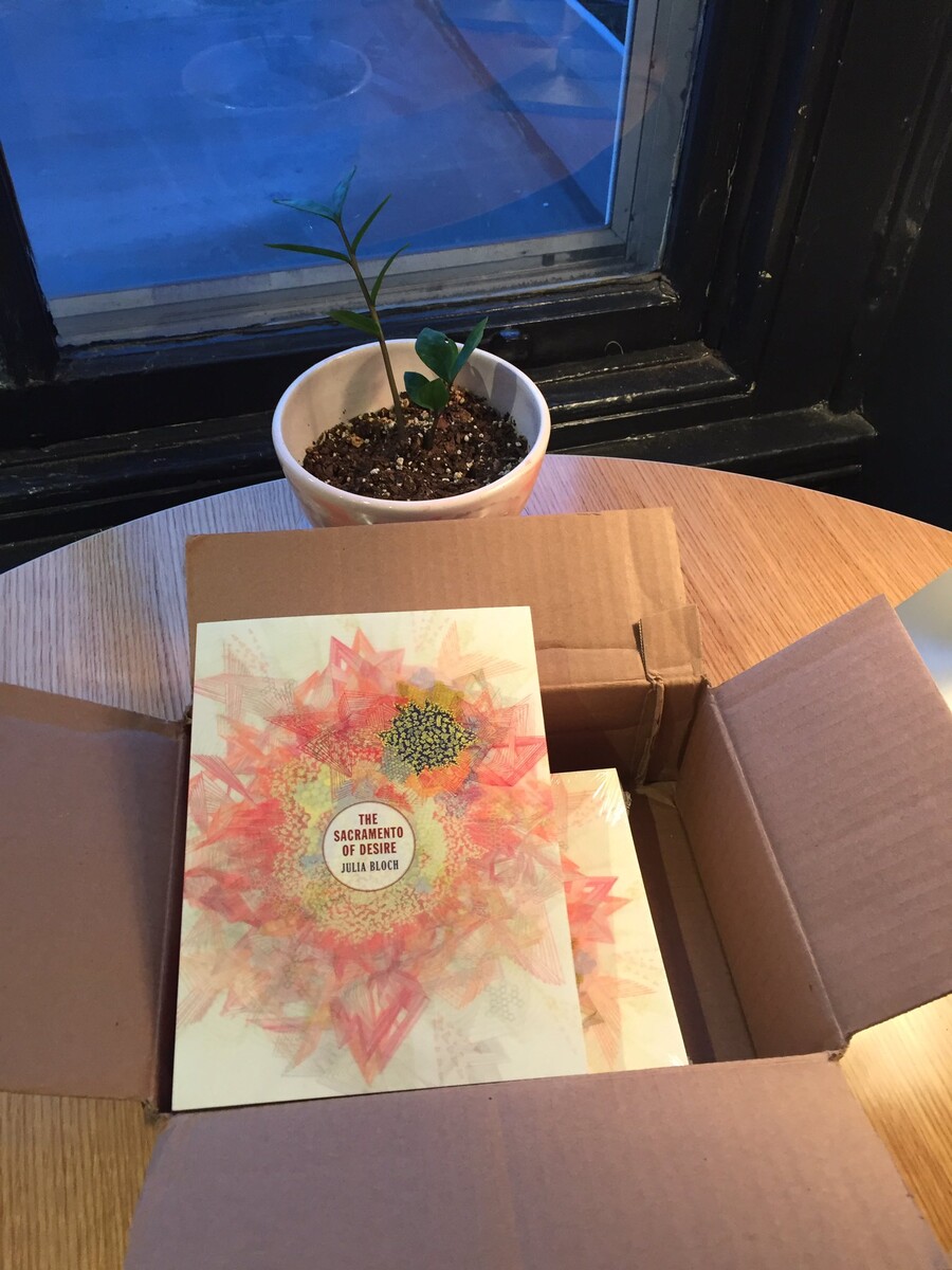 Cardboard box filled with books The Sacramento of Desire. 