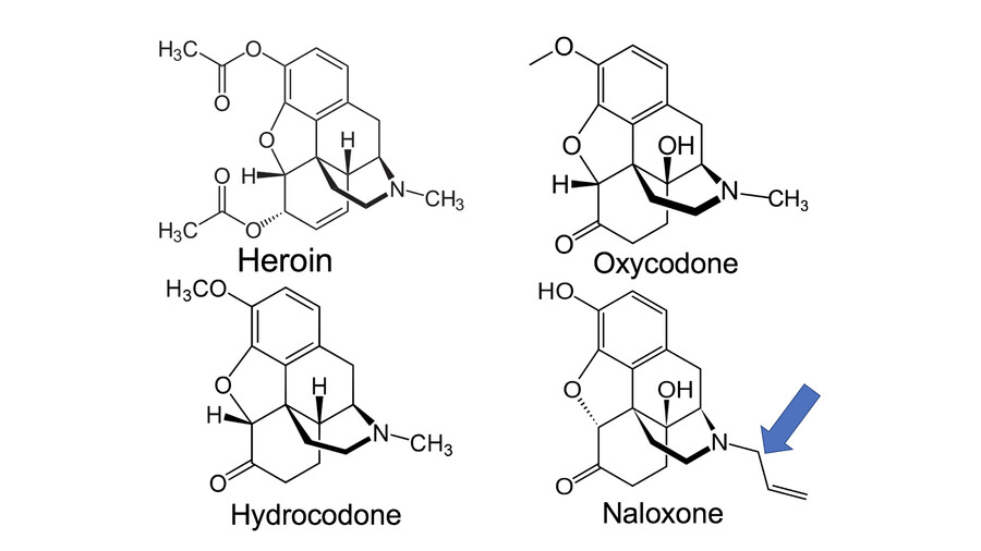 chart of dental opioids
