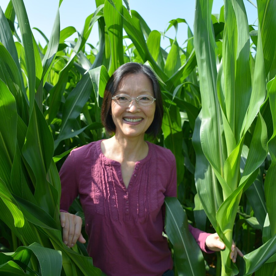 Zhengxia Dou