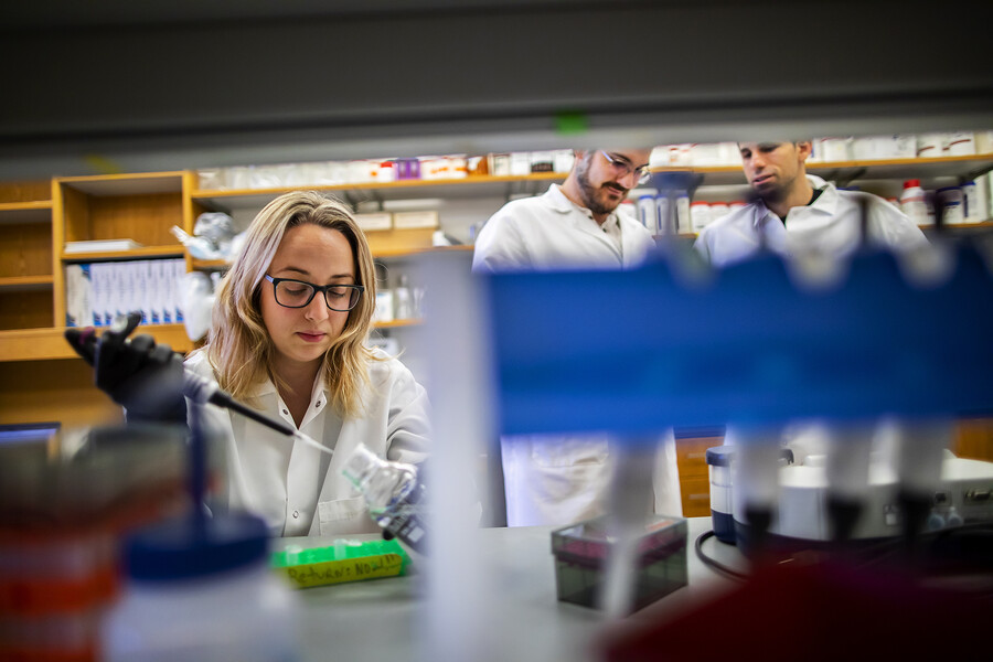 researchers in Cesar DeLa Fuente lab
