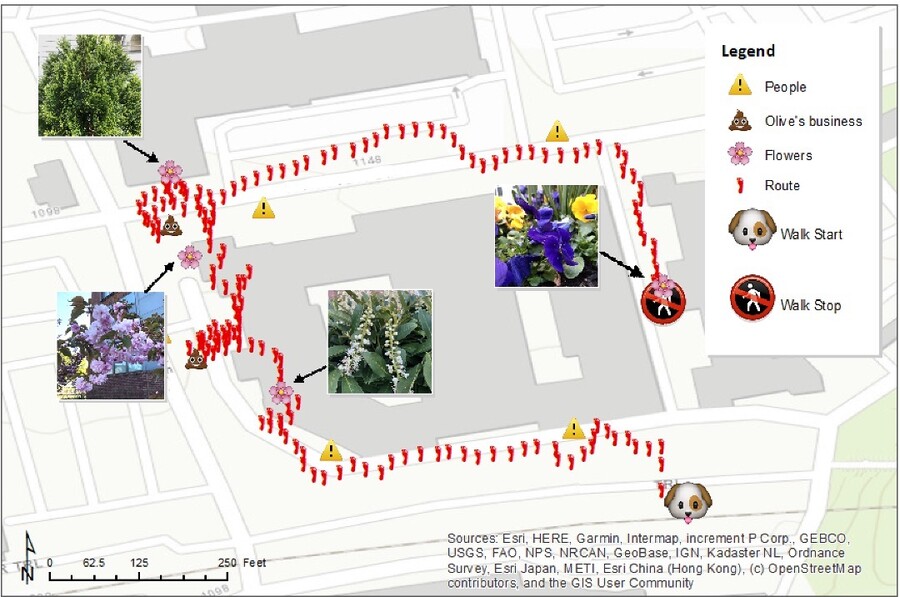 Map of a neighborhood with steps and landmarks highlighted used as a mapping assignment