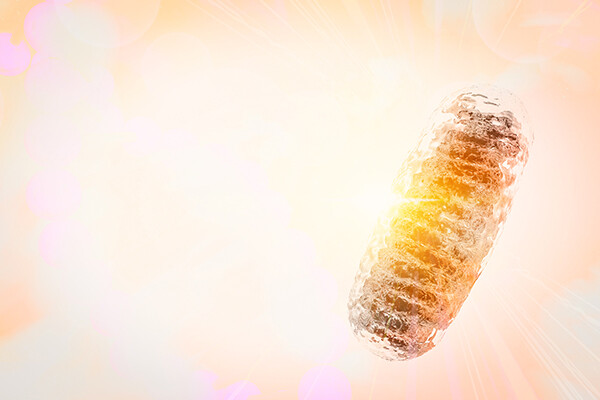 3D rendering of mitochondria, a membrane-enclosed cellular organelles.