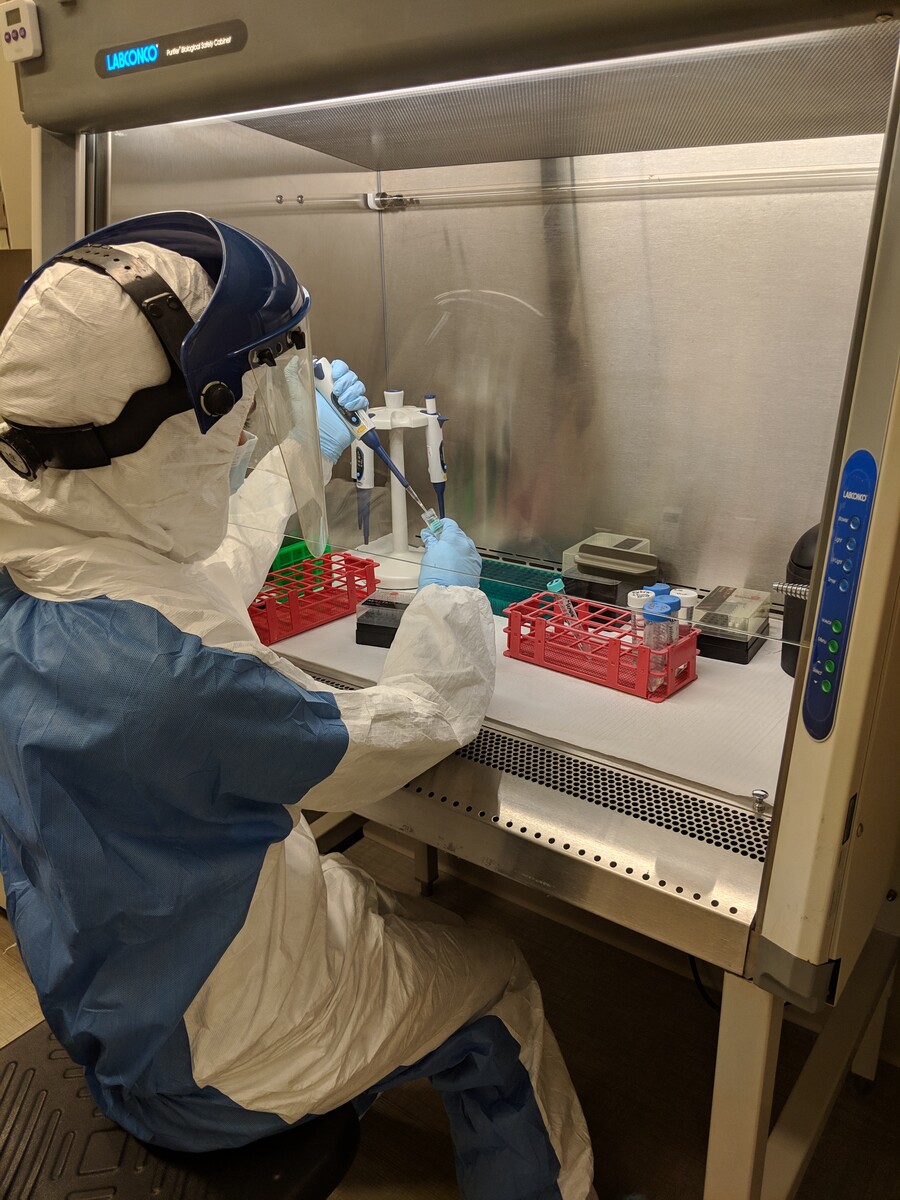 Person in a full body suit, rubber gloves and face shield using a pipette in a ventilated hood.