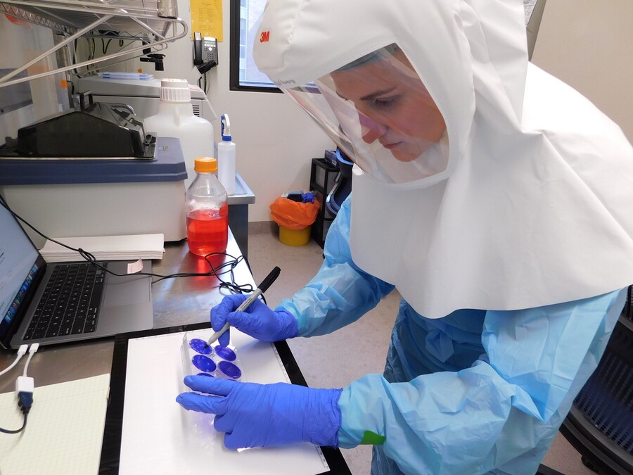 courtney comar in the bsl covid lab