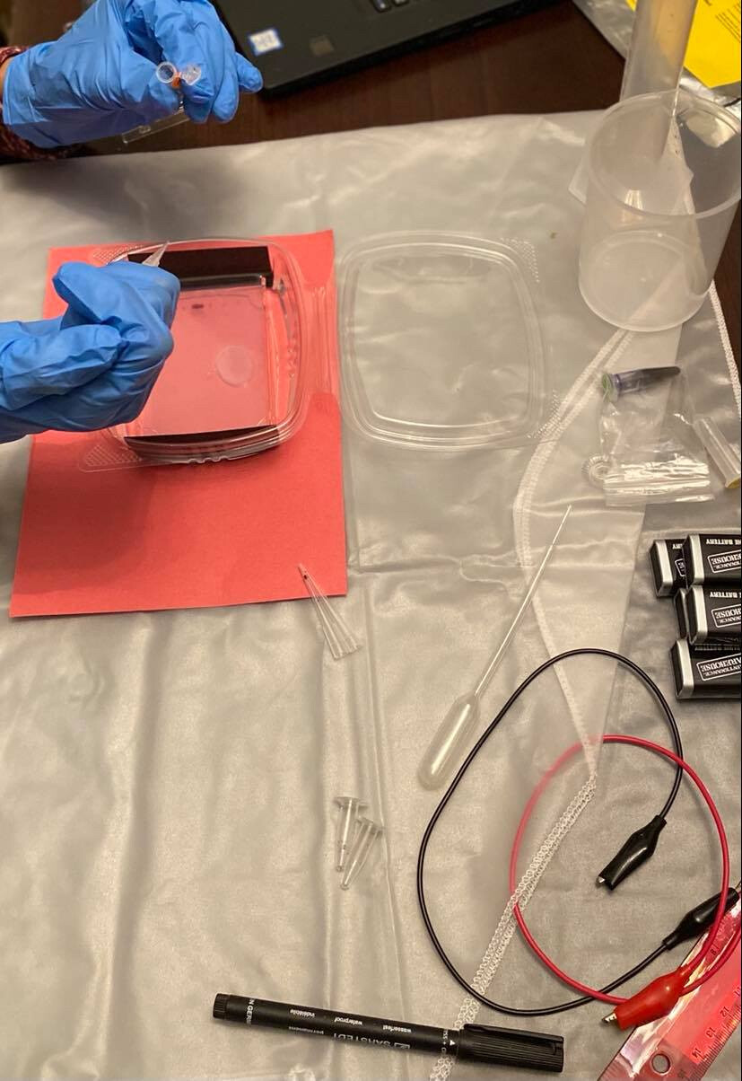 Close-up of gloved hands performing scientific experiment