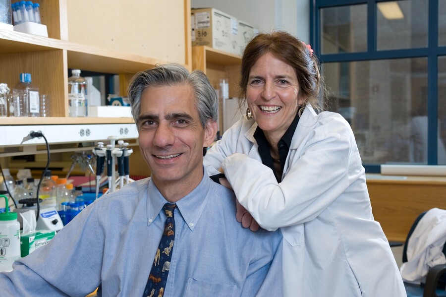 Vision researchers Albert Maguire and Jean Bennett in lab