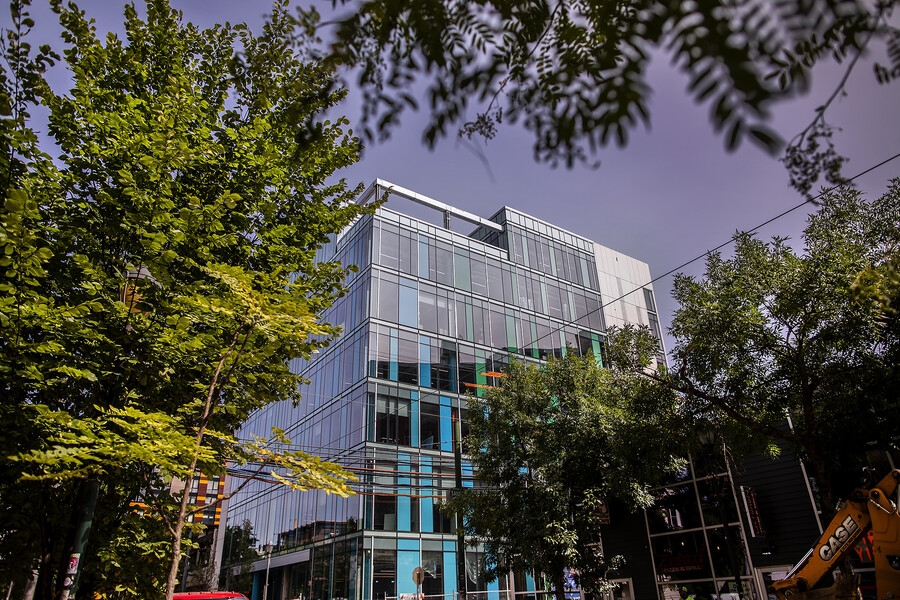 tangen hall through trees
