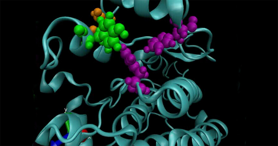 A computer model of a mutated anaplastic lymphoma kinase.