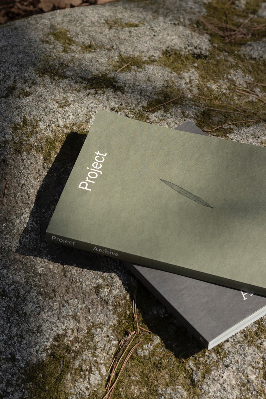 book with title Project Archive on top of a rock