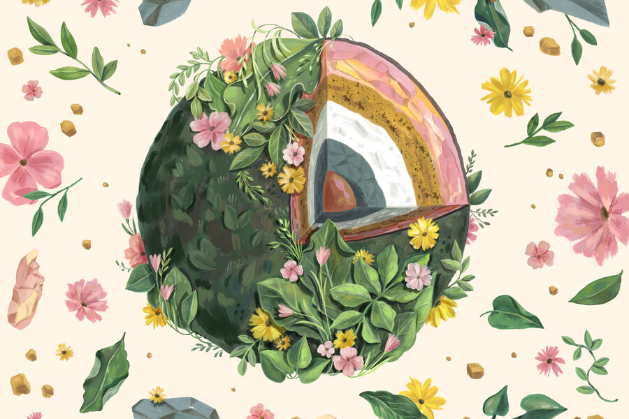 Illustration of a sphere representing earth and it’s internal layers, covered by flora and surrounded by botanical drawings.