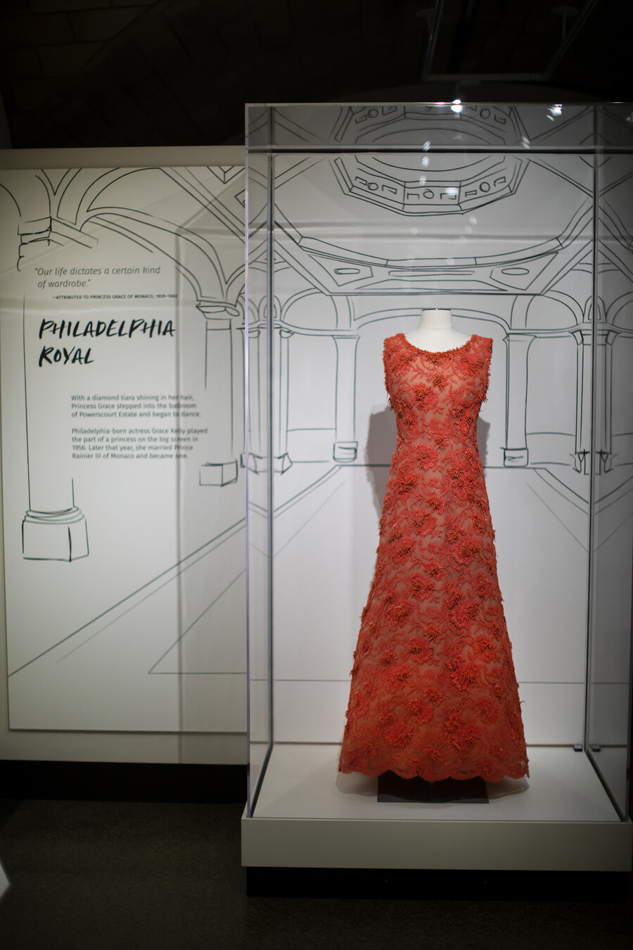 dress in a case
