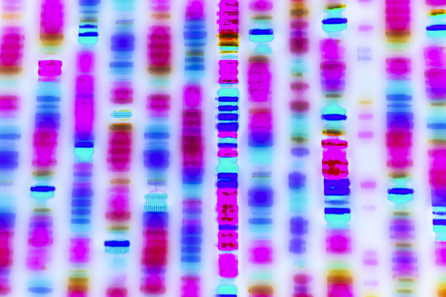 Visual representation of a DNA sequence.