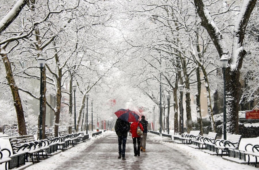 Locust Walk in the snow