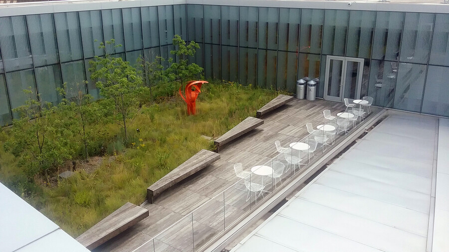green roof on singh nano building