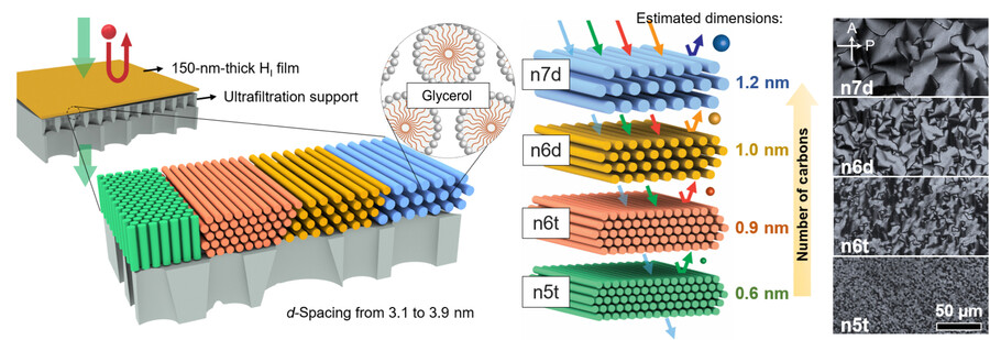 Scientific rendering of membranes of various thickness.