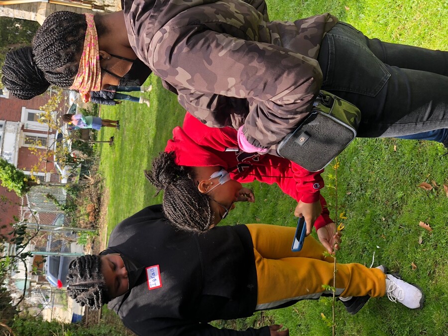 Anisa Robinson takes a photo of a tree while two other students look on.