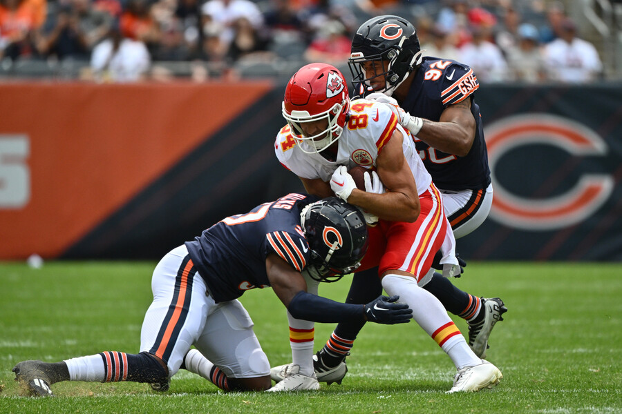 Watson makes a tough catch against the Bears