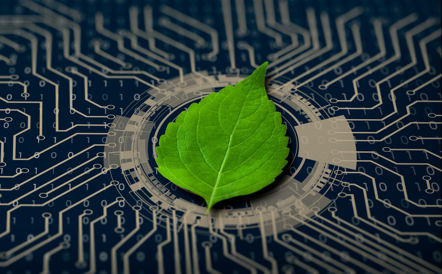 A microchip with a small leaf on it.