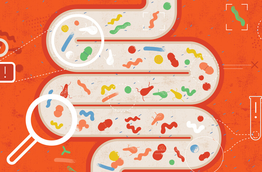 Microscopic rendering of bacteria in the large intestines.