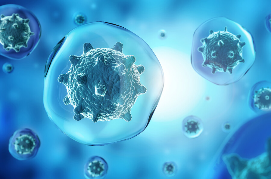 Microscopic view of a cancer cell.