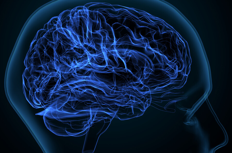 Rendering of brain matter.