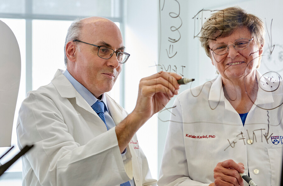Drew Weissman and Katalin Karikó in lab coats writing on a clear glass wall.
