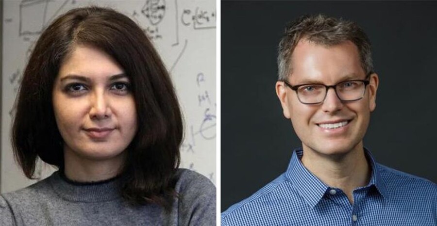 Homa Hosseinmardi and Duncan Watts.