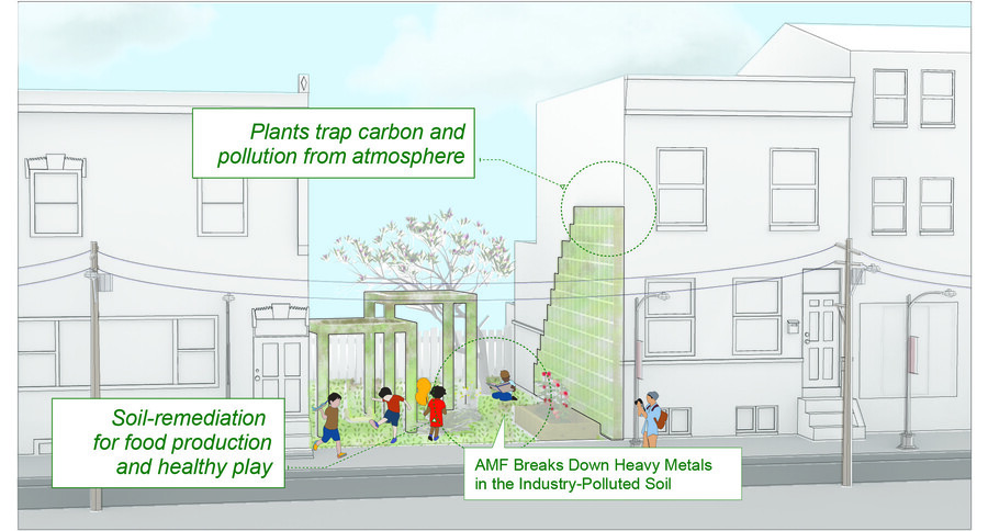 A diagram showing the benefits of fungi in soil remediation and carbon capture.