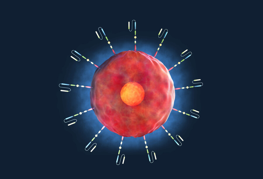 3-D rendering of chimeric antigen receptor T (CAR-T) cell therapy, a treatment for a variety of cancers