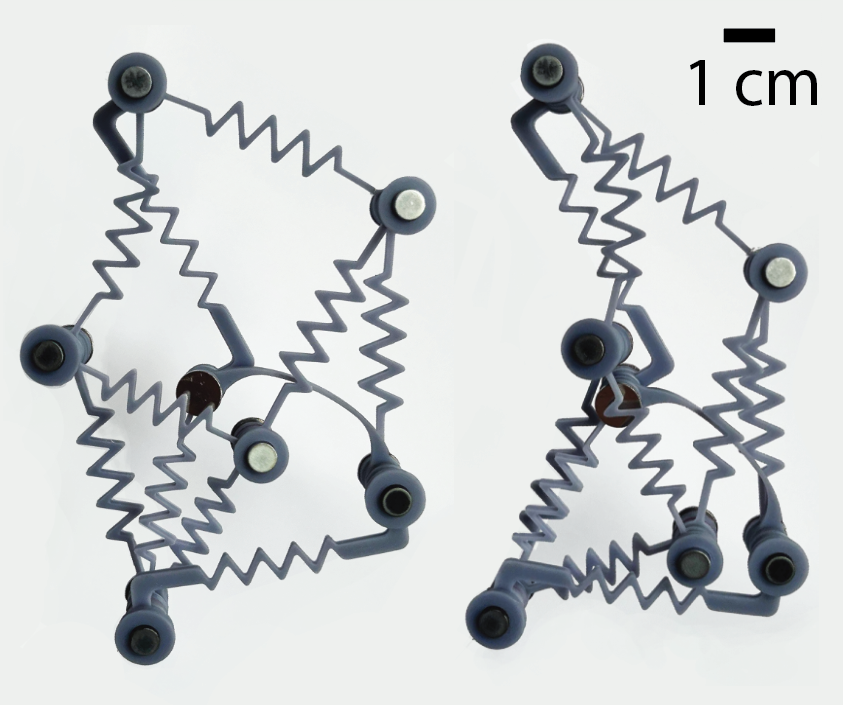 Tabletop set up showing the mechanics of prions.