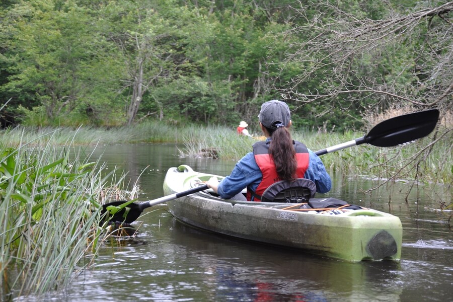 A person kayaking in a stream in nature.