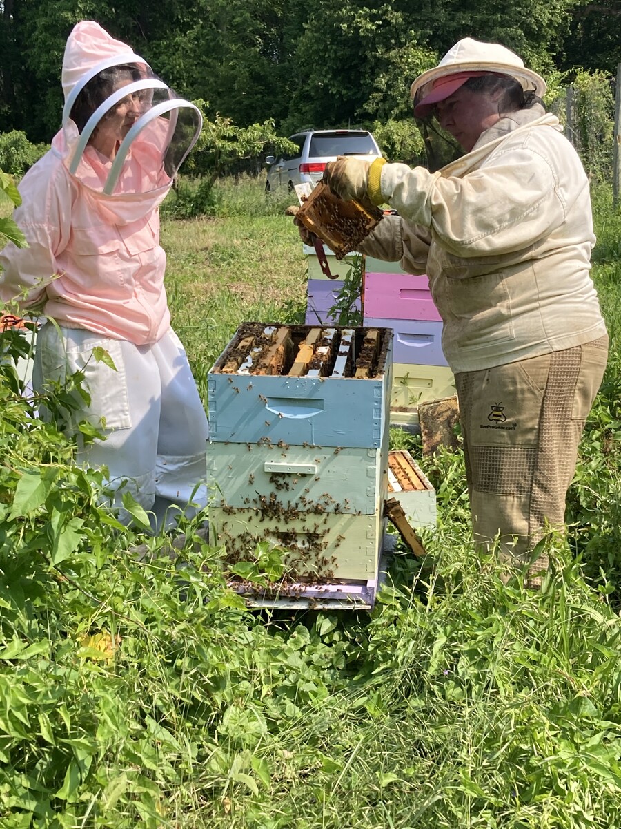 Laurel Redding and Kaitlyn Krebs in the bee field.