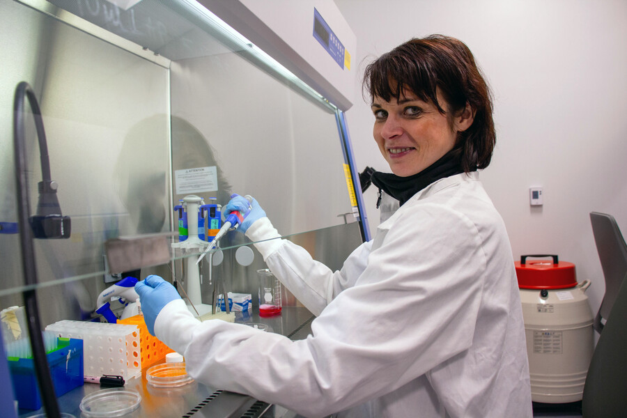 Claudia Loebel preparing samples in the lab.