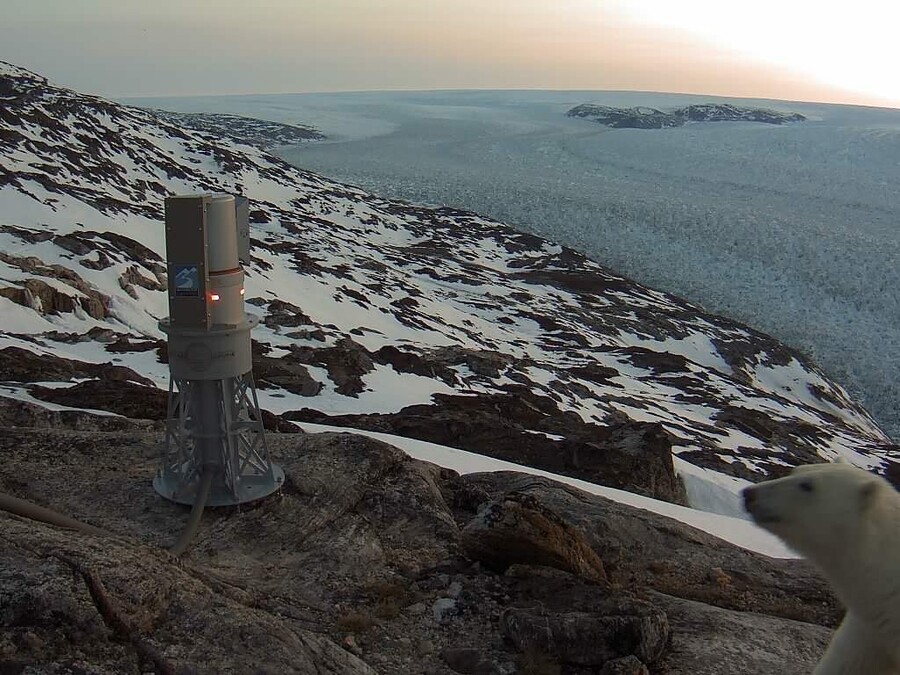 A polar bear near a measuring device on a glacier.
