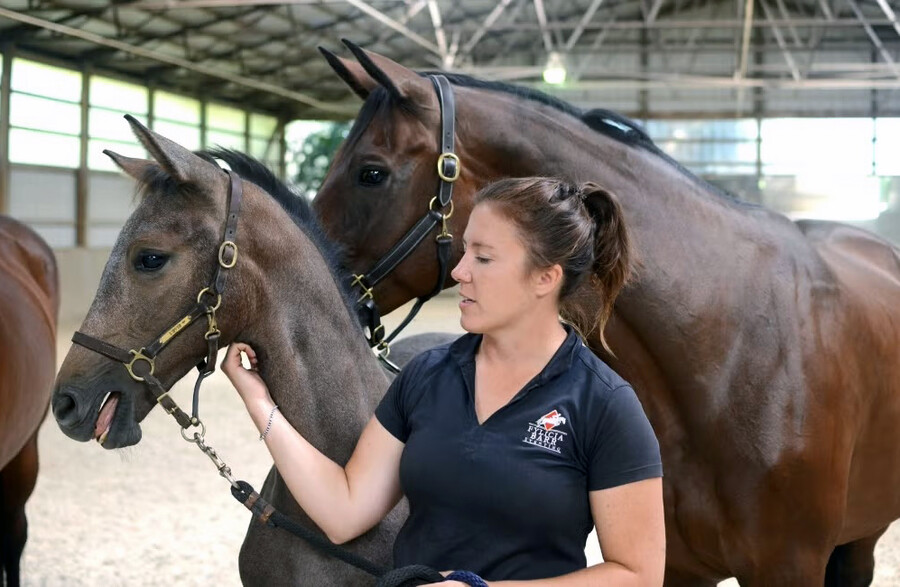 Fylicia Barr with a young foal.