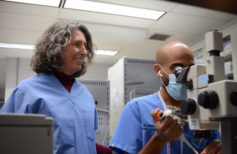 Katrin Hinrichs and Matheus Felix in a lab.