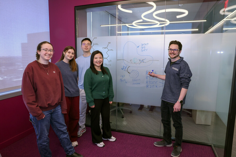 Engineering researchers at a whiteboard in the Gao lab.