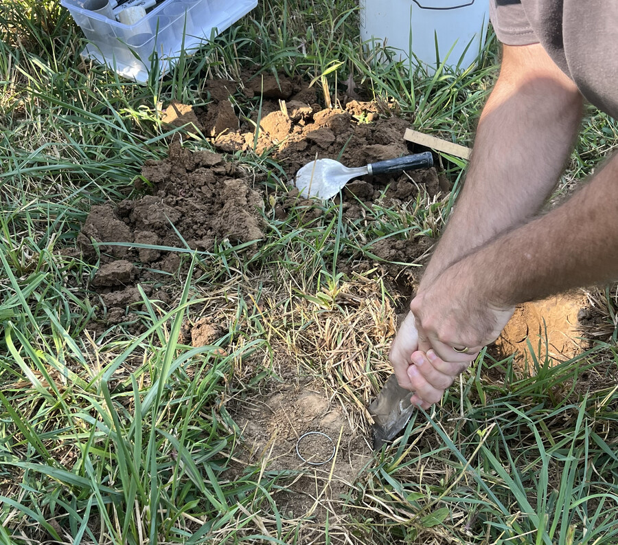 Alain Plante digging in the soil at Penn Vet's New Bolton Center.