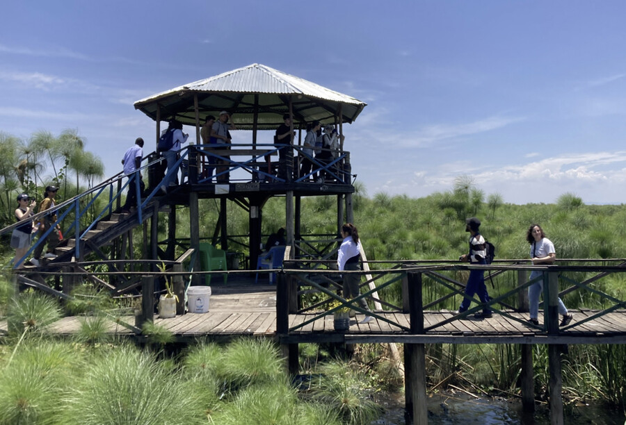 Students walking along the Donga boardwalk in Kisumu.