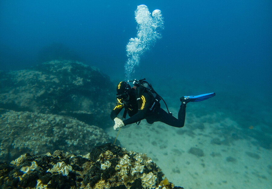 A scuba diver under water.