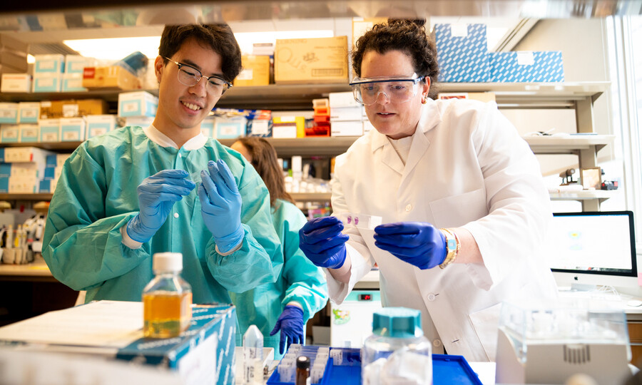 Researchers in the lab of Robert Vonderheide.