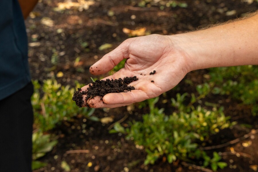 A hand holding soil.